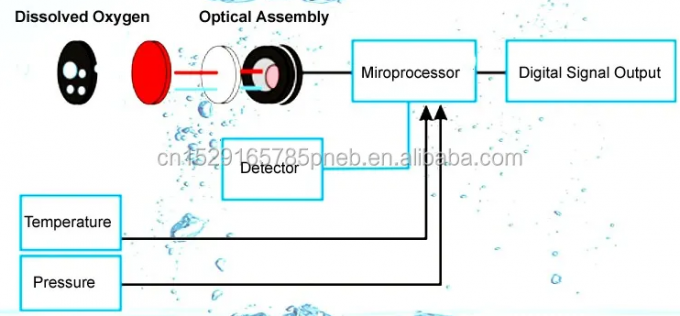 faça o sensor