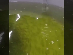 Sensor ótico dissolvido ótico em linha do oxigênio do sensor Rs485 do oxigênio